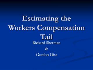 Estimating the Workers Compensation Tail
