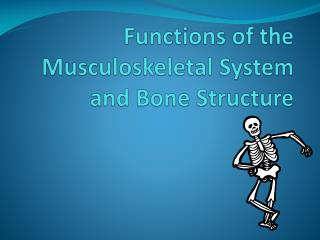 Functions of the Musculoskeletal System and Bone Structure