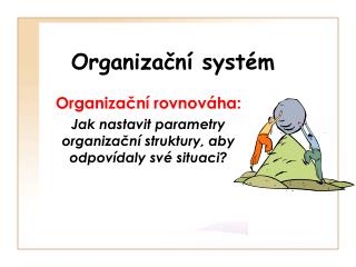 Organizační systém