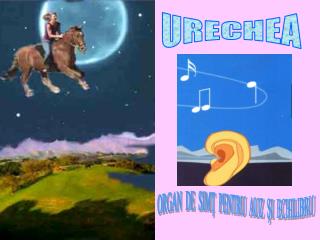 URECHEA