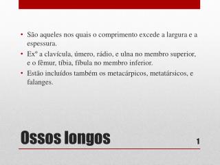 Ossos longos