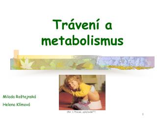 Trávení a metabolismus