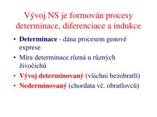 Vývoj NS je formován procesy determinace, diferenciace a indukce