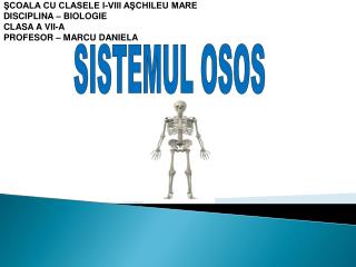 SISTEMUL OSOS
