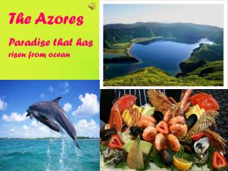 The Azores Paradise that has risen from ocean