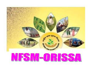 NFSM-ORISSA