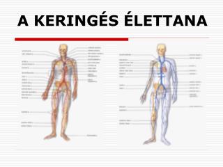 A KERINGÉS ÉLETTANA