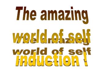 The amazing world of self induction !