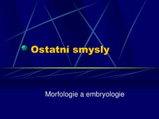 Ostatní smysly