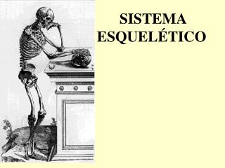 SISTEMA ESQUELÉTICO