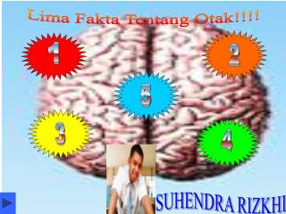 Lima Fakta Tentang Otak!!!!