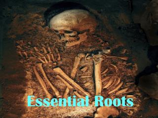 Essential Roots