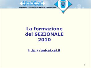 La formazione del SEZIONALE 2010