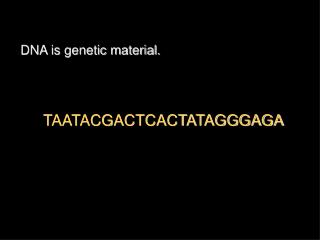 DNA is genetic material.