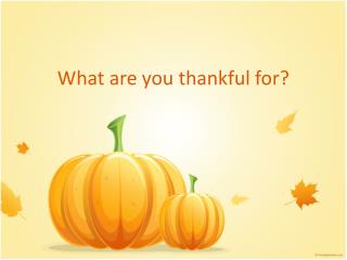 What are you thankful for?