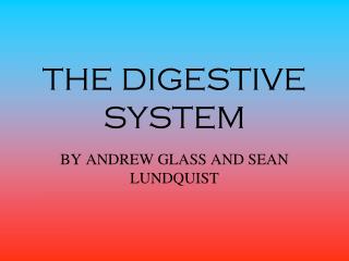 THE DIGESTIVE SYSTEM