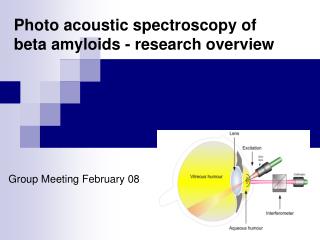 Photo acoustic spectroscopy of beta amyloids - research overview