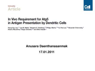 Anusara Daenthanasanmak 17.01.2011