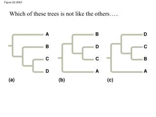 Figure 20.UN01