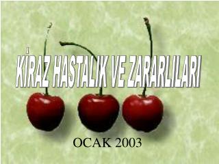 OCAK 2003