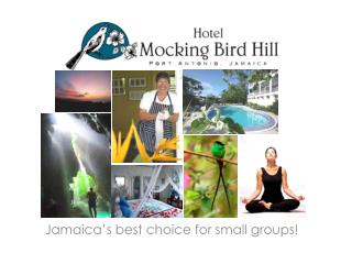Jamaica’s best choice for small groups!