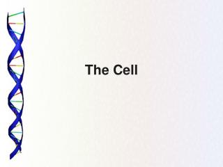 The Cell