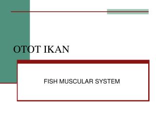 OTOT IKAN