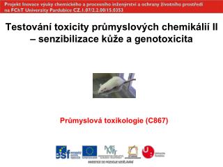Testování toxicity průmyslových chemikálií II – senzibilizace kůže a genotoxicita