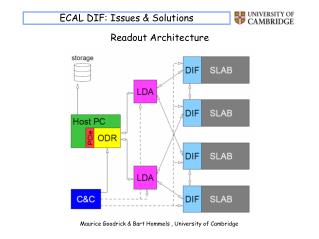 ECAL DIF: Issues &amp; Solutions