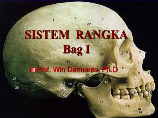 SISTEM RANGKA Bag I