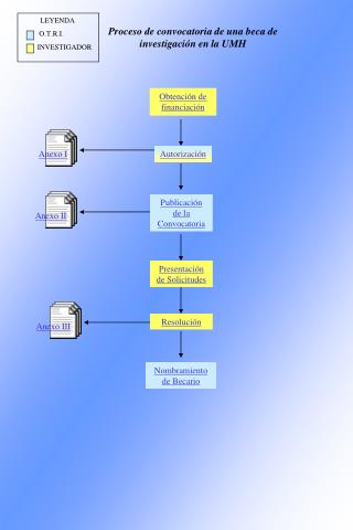 Proceso de convocatoria de una beca de investigación en la UMH