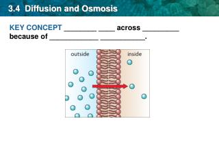 3.4 Diffusion and Osmosis