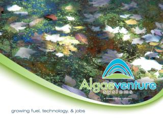 ‘Flipping’ Toxic Algae to Beneficial Algae - Diatoms in GLSM