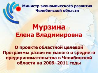 Министр экономического развития Челябинской области