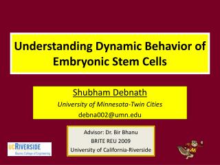 Understanding Dynamic Behavior of Embryonic Stem Cells