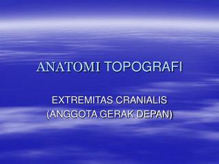 ANATOMI TOPOGRAFI