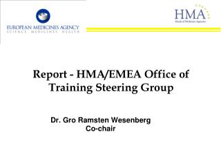 Report - HMA/EMEA Office of Training Steering Group