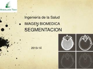 Ingeniería de la Salud IMAGEN BIOMEDICA SEGMENTACION