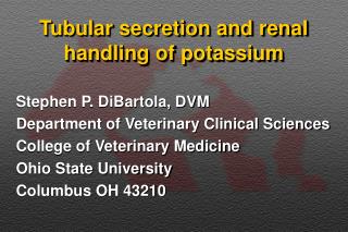 Tubular secretion and renal handling of potassium