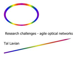 Research challenges - agile optical networks Tal Lavian