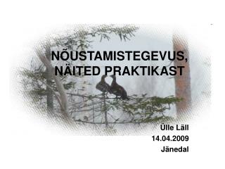 NÕUSTAMISTEGEVUS, NÄITED PRAKTIKAST