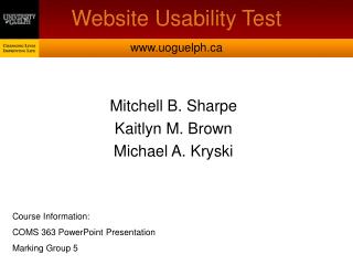 Website Usability Test