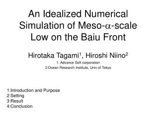 An Idealized Numerical Simulation of Meso- -scale Low on the Baiu Front