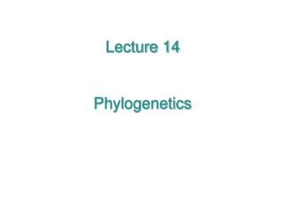 Lecture 14 Phylogenetics