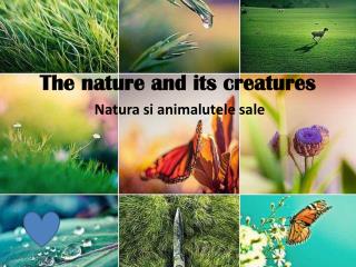 The nature and its creatures