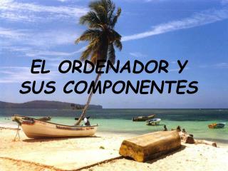 EL ORDENADOR Y SUS COMPONENTES