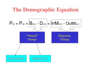 The Demographic Equation