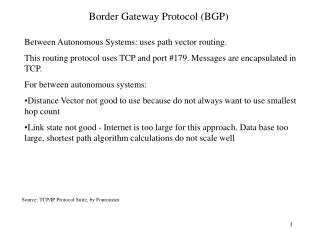 Border Gateway Protocol (BGP)