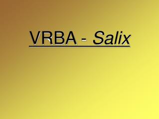 VRBA - Salix