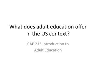 What does adult education offer in the US context?